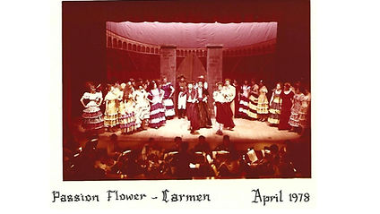 Passion Flower - 1978