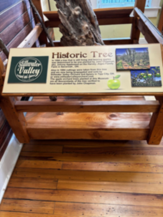 Johnny Appleseed Apple Tree  
