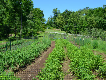 The Strength of the Hills is not Ours