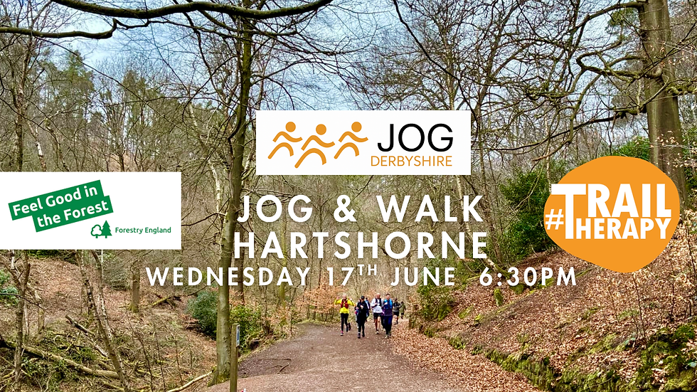 Feel Good in the Forest: Guided Jog & Walk