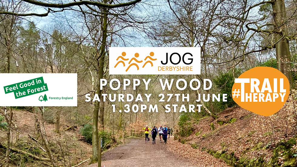 Feel Good in the Forest: Guided Jog & Walk