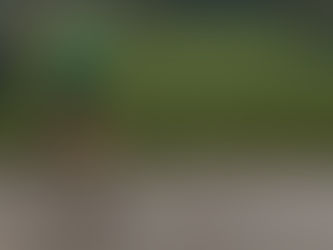 Frosty's Running Tips