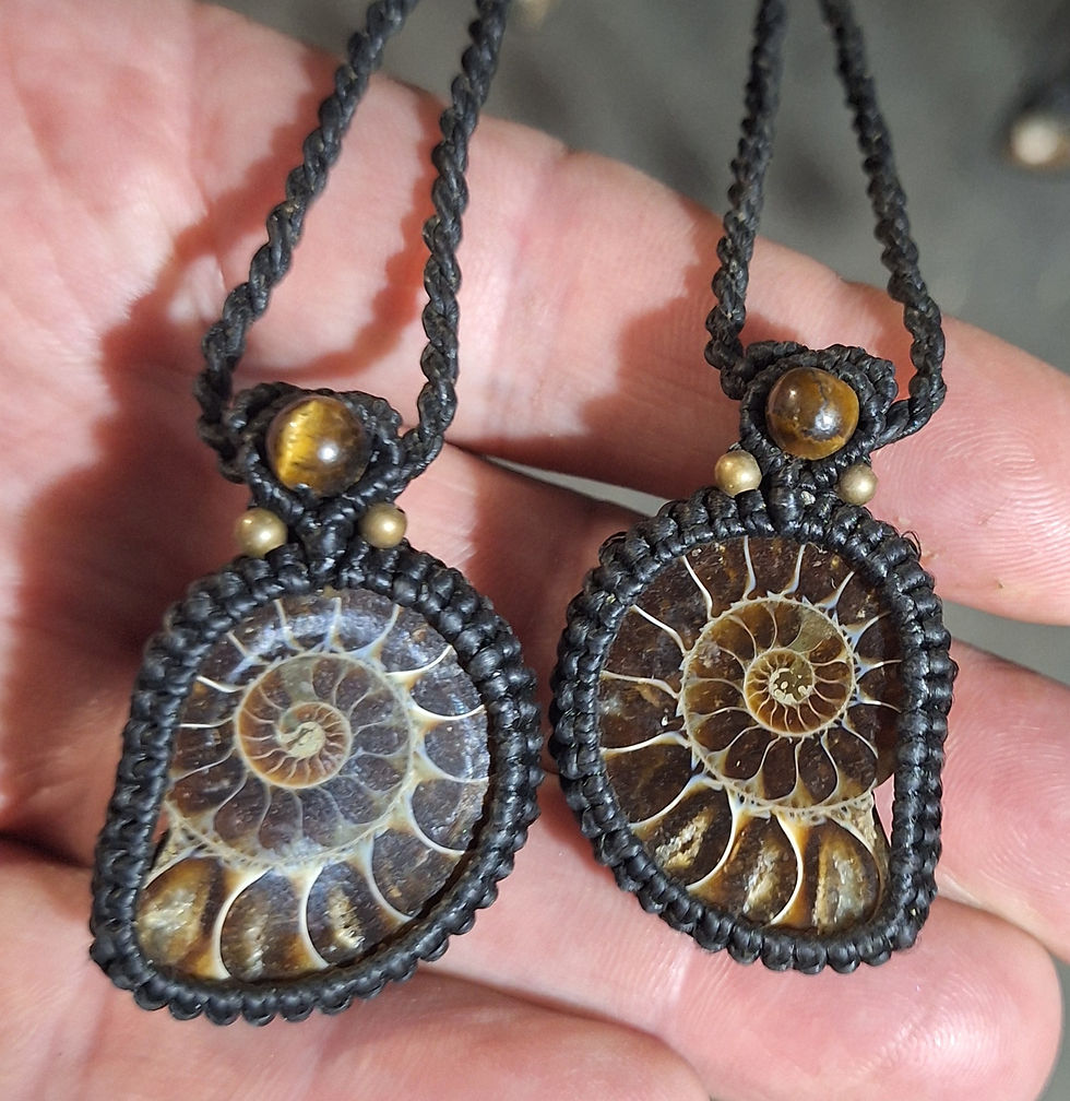 Thumbnail: Soulmate Ammonite Necklaces Pair