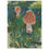 Thumbnail: Mushrooms in Early Fall