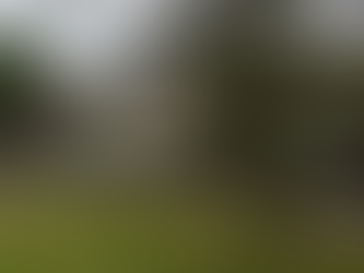 [Rented] Affordable 1 Bedroom Rental in Richmond with Utilities Included