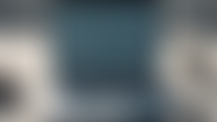 Maximizing Profit: Building an Emotion Recognition Website on Wix