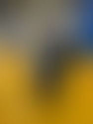 Congratulations to Matthew Bacchus on Joining Stony Brook’s Renaissance School of Medicine!