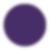 Elipse 2.png