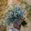 Thumbnail: Immaculate Heart Forget Me Not Seeds