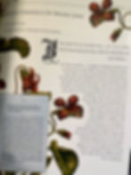Thumbnail: Immagini Sacre Magazine Faithful Doves Issue