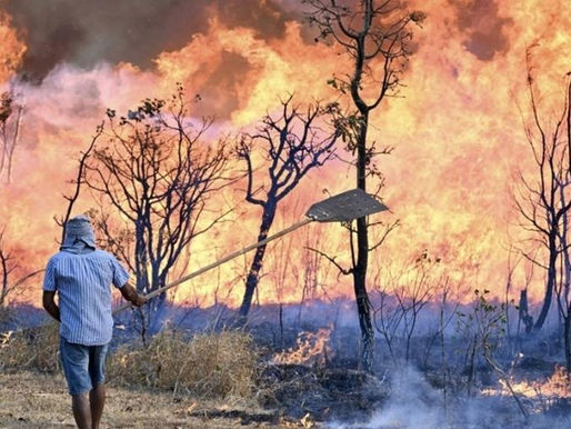 TANGARÁ: Município registra 199 focos de calor e aparece entre os líderes de MT em 2026