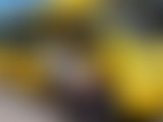 Vagas ao cargo de motorista serão ampliadas para atender a educação