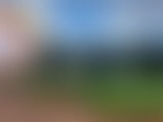 Reck Jr defende reativação da escola agrícola: "foi referência para Tangará e Mato Grosso", destacou