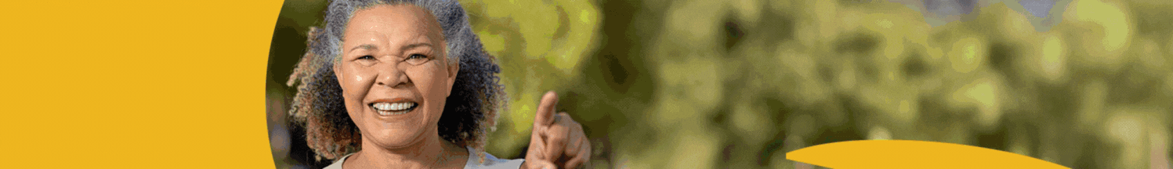 al mt full banner topo.gif