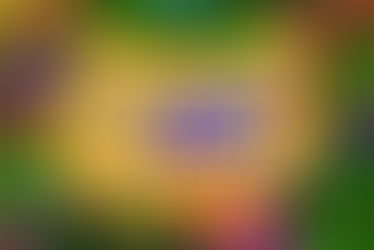 Carnaval não é feriado em Tangará da Serra e comércio funcionará normalmente, reforçam Acits e CDL