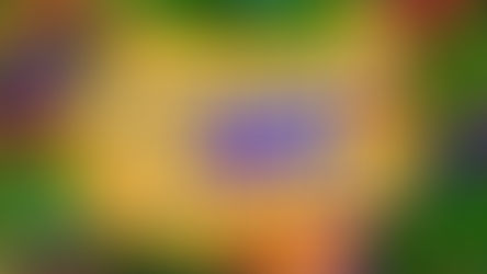 Carnaval não é feriado em Tangará da Serra e comércio funcionará normalmente, reforçam Acits e CDL