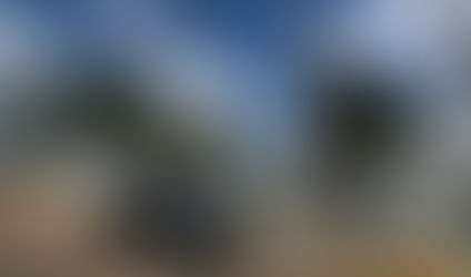 Polícia Civil mira comércio de medicamentos vencidos e maus-tratos de animais em Lucas do Rio Verde