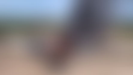 Avião de pequeno porte cai e pega fogo entre Campo Novo do Parecis e Brasnorte