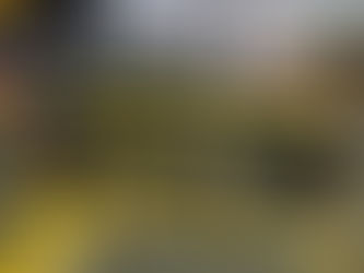PRF apreende Skunk e prende foragida em Rondonópolis