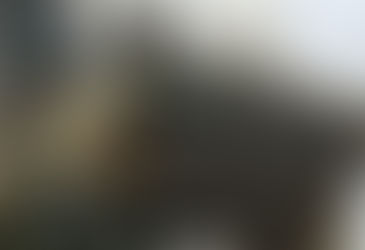 Polícia Civil intensifica combate à pesca predatória com nova operação em Barão de Melgaço e Cuiabá