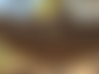 Tangará é a 4ª cidade de MT com mais registros de ataques de abelhas e similares