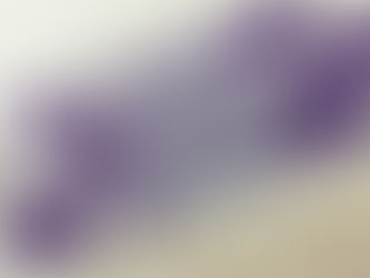 Apostador de Tangará da Serra acerta 4 números da Quina e quase leva prêmio milionário