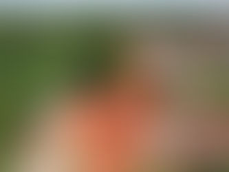 Ruas do Dona Júlia estão recebendo drenagem; obras vão permitir avanço na construção de Parque