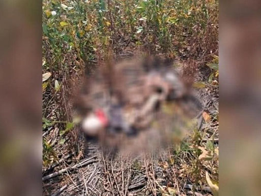 TRABALHADORES RURAIS ACHAM OSSADA MASCULINA EM LAVOURA