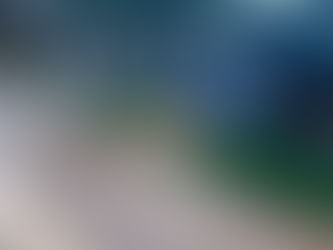 IDOSO É BRUTALMENTE ATACADO POR DOIS PIT BULLS EM MT