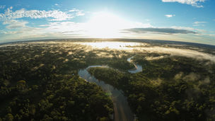 SUSTENTABILIDADE AMBIENTAL - Sicredi reduz em 14% a emissão de gases de efeito estufa em suas operações