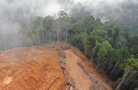 Justiça do Trabalho de Tangará da Serra condena empresa por sumiço de trabalhador na Amazônia