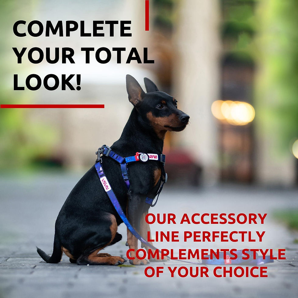 Thumbnail: Nylon Dog Leash for Small Dogs and Medium Dogs 4 Ft x 3/5 inch Wide NASA Color