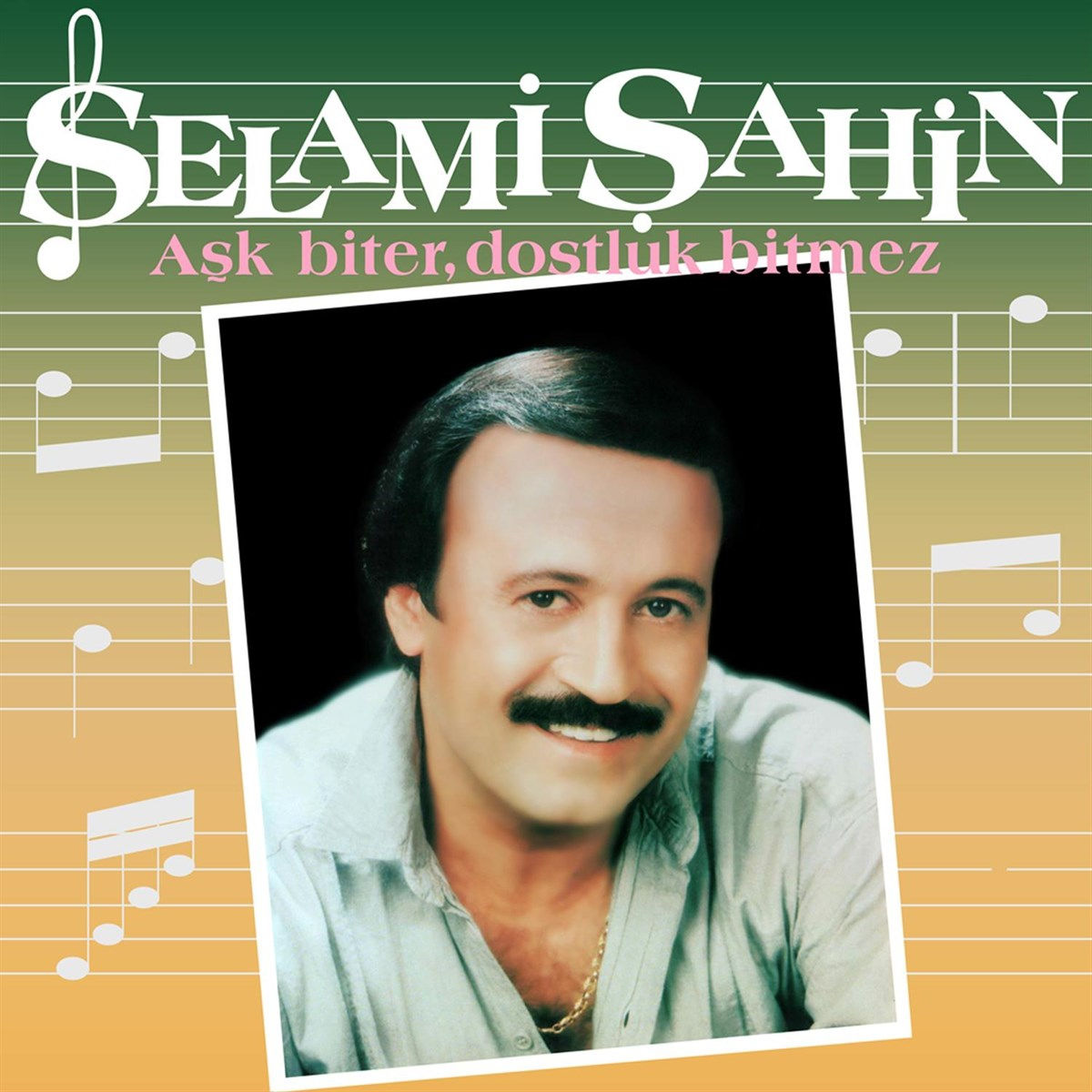 Selami Şahin | Aşk Biter Dostluk Bitmez - Plak | LP