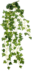 5c17fcbe5b17f14dffd2a12b9f9e495f.png