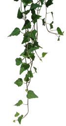 69b3a5f1f0f93e3dab8dc18c63bfb9b9.png