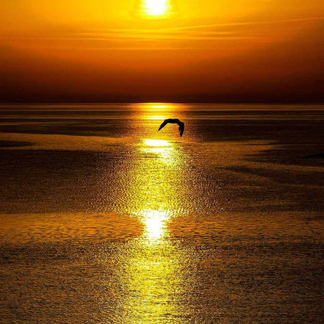 Vasilikò's sunrises