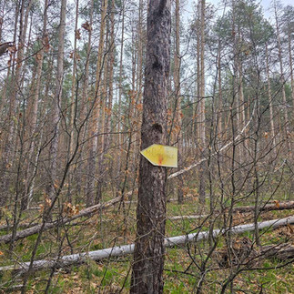 Пътека "Алея на Свободата", свързваща гр. Панагюрище и Историческа местност Оборище