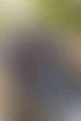 Парк "Приказната гора" в град Раковски