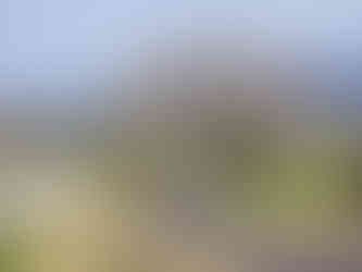 Екопътека "Алея на Свободата", свързваща гр. Панагюрище и Историческа местност Оборище