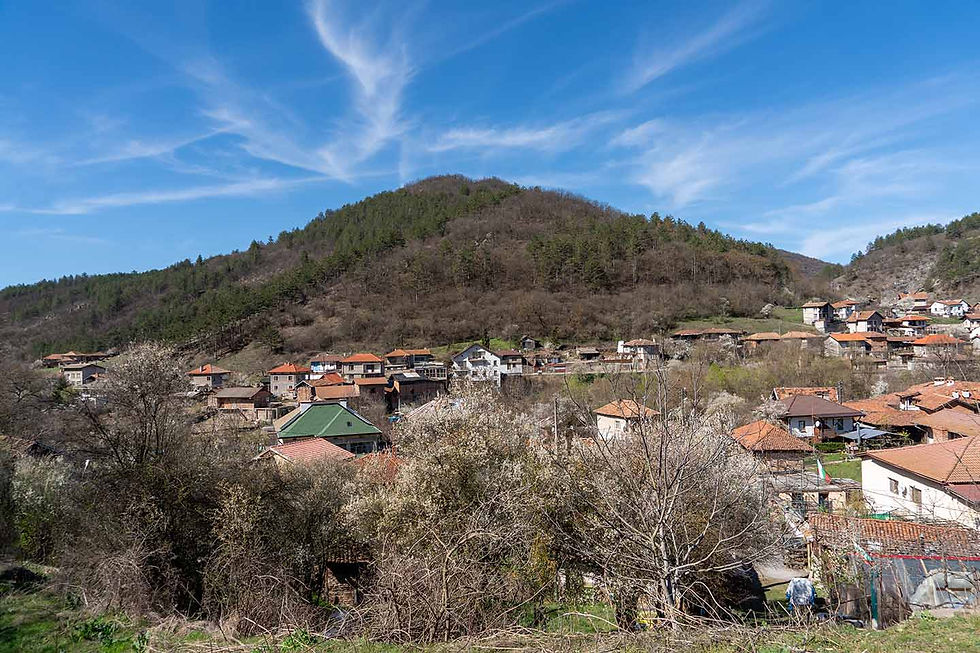 Village of Petrich, Zlatitsa municipality
