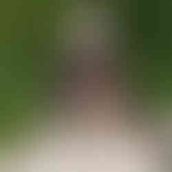 Panoramic alley "The Steps" in the city of Razlog