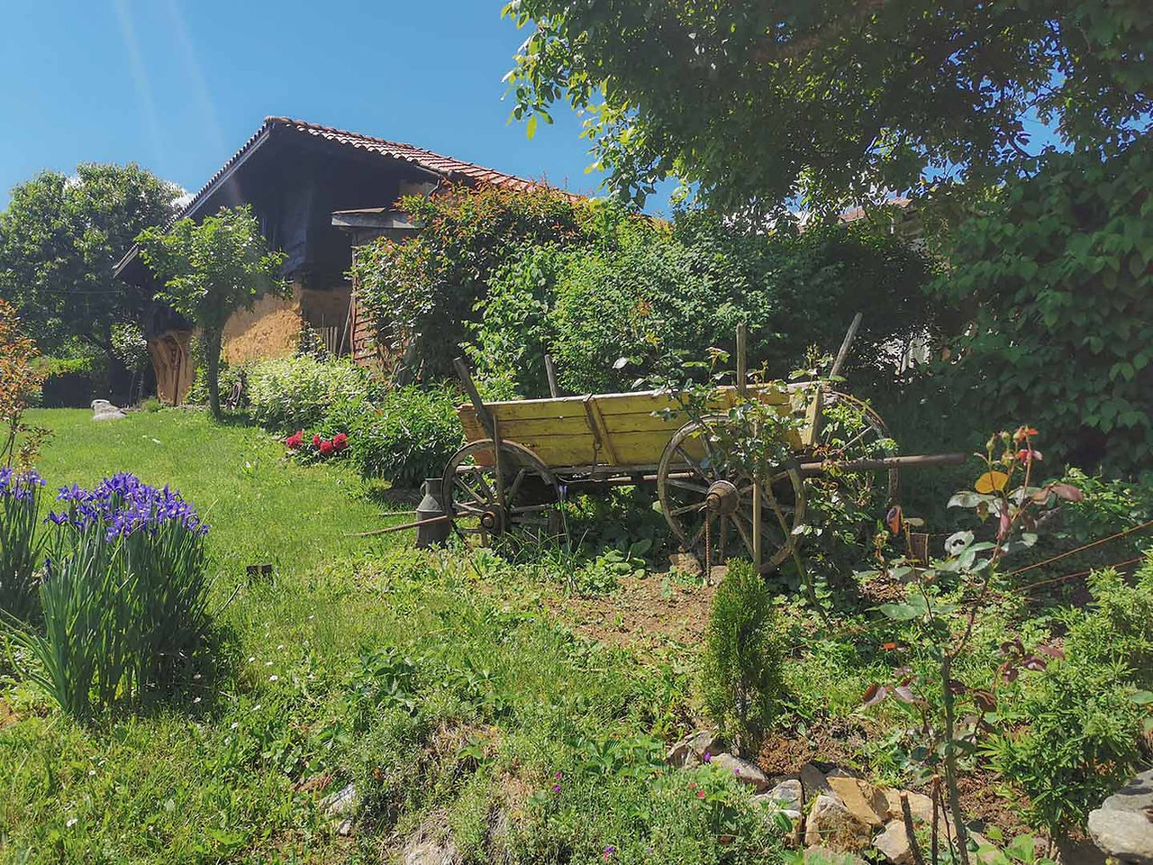 The village of Brashlyan in Stradzha mountain