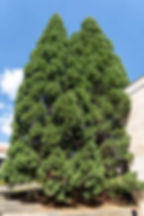 Regional Historical Museum "Stoyu Shishkov" in the city of Smolyan