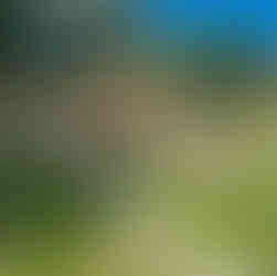 Парк "Дядовата ръкавичка" в град Златица