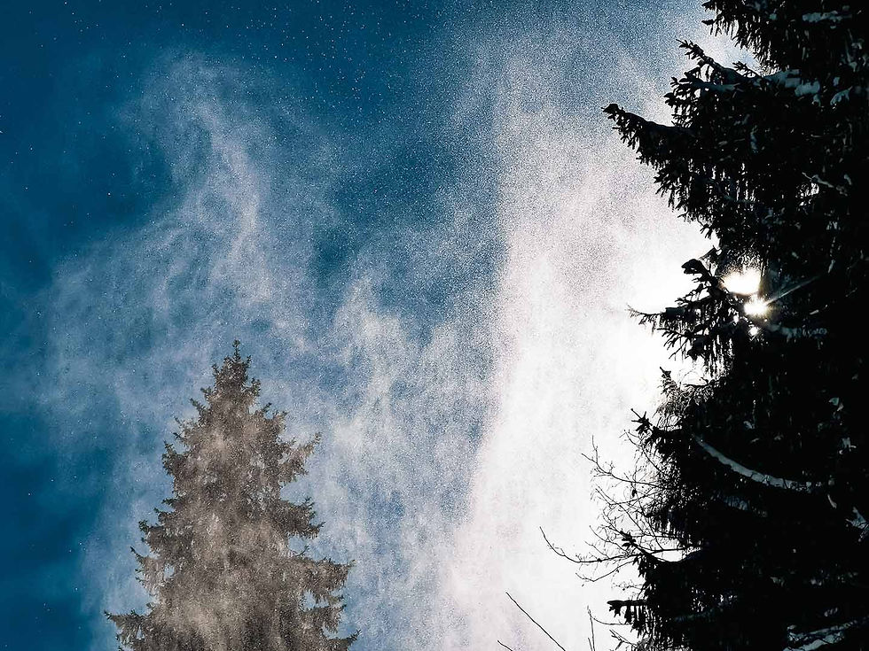 A winter tale in the village of Panagyurski kolonii