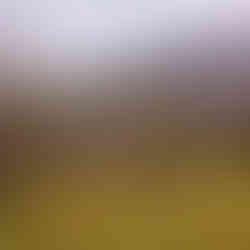 Пътека "Алея на Свободата", свързваща гр. Панагюрище и Историческа местност Оборище