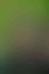 Historical ossuary church "Holy Sunday" in the city of Batak