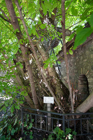 Historical ossuary church "Holy Sunday" in the city of Batak