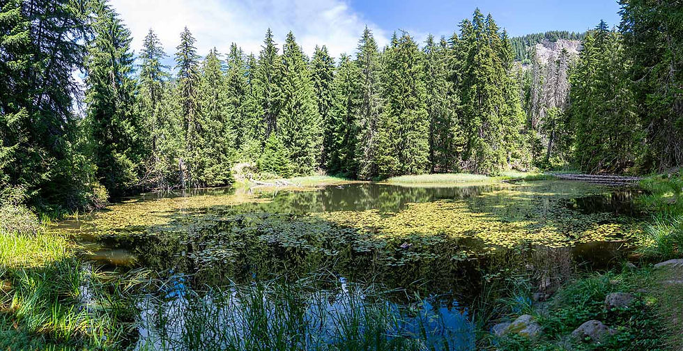 The cloudy lake (the third on the "Three Smolyan Lakes" eco-trail)
