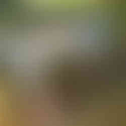 Парк "Орфеев дол" в град Хисаря